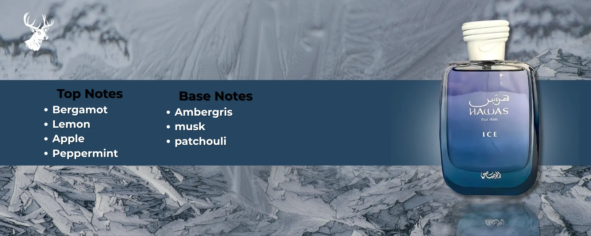 Your paragraph text (2000 x 800 px) (4)